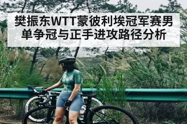 樊振东WTT蒙彼利埃冠军赛男单争冠与正手进攻路径分析